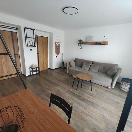 Apartman Opava S Parkovanim エクステリア 写真