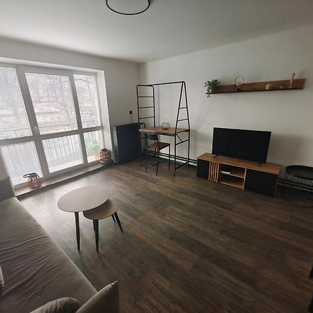Apartman Opava S Parkovanim エクステリア 写真