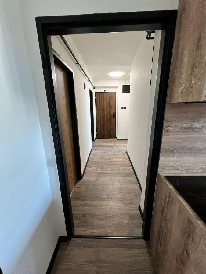 Apartman Opava S Parkovanim エクステリア 写真