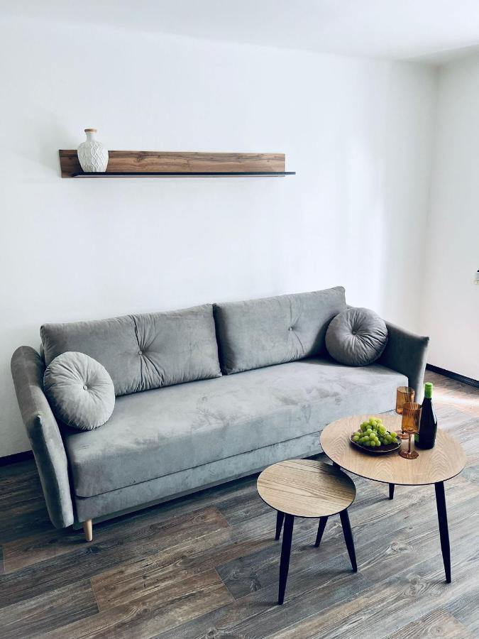 Apartman Opava S Parkovanim エクステリア 写真